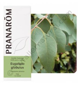 Aceite essencial eucalipto Bio 10ml