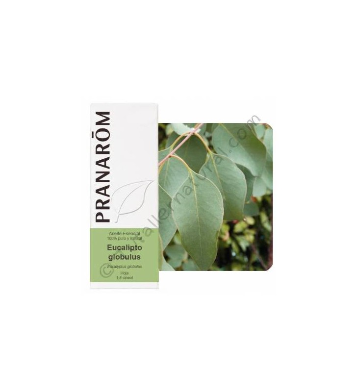 Aceite essencial eucalipto Bio 10ml