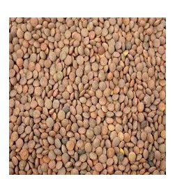 Lenteja marrón en grano bio 1kg
