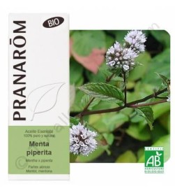Aceite esencial menta piperita Bio 10ml