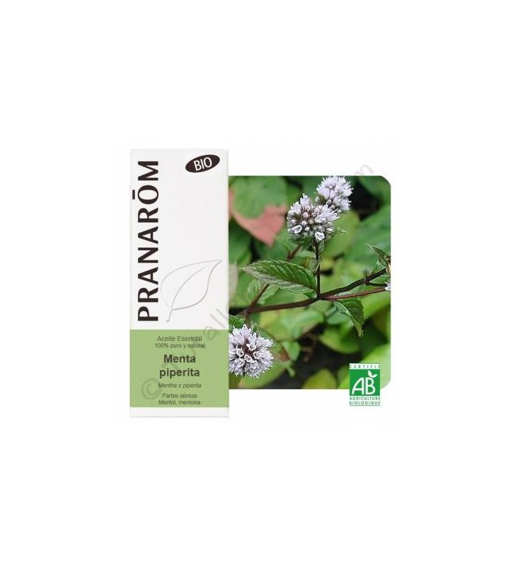 Aceite esencial menta piperita Bio 10ml