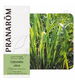Aceite esencial citronela java Bio 10ml