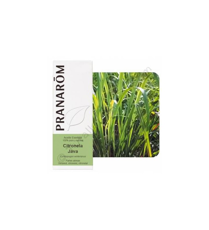 Aceite esencial citronela java Bio 10ml