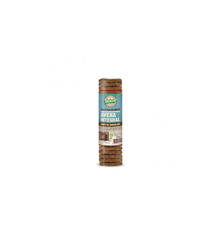 Galletas de avena con chips choco 250gr