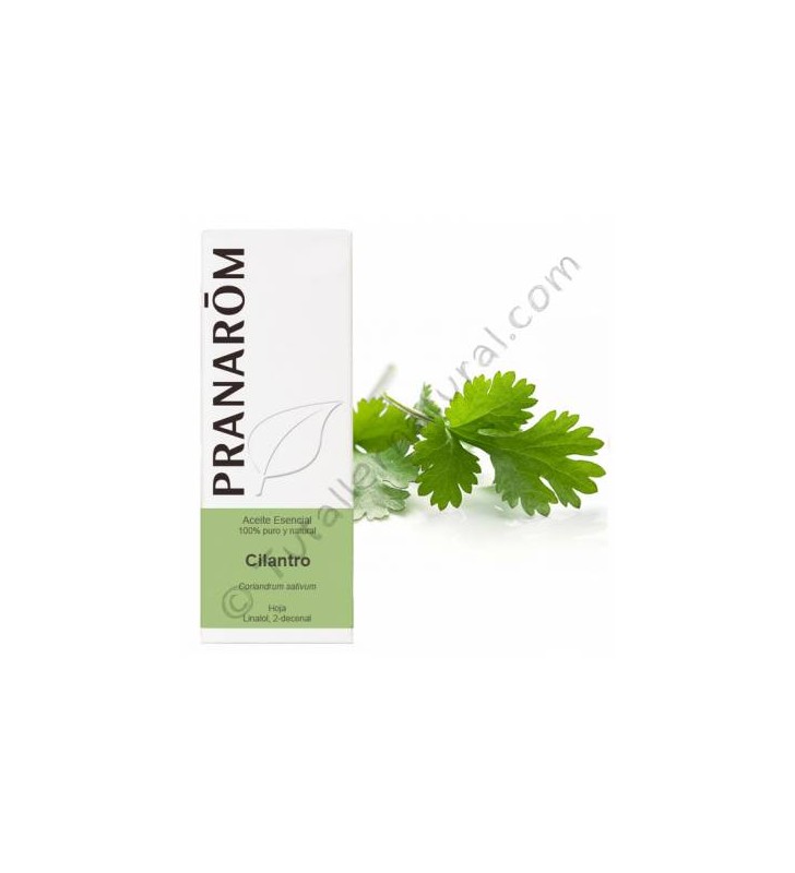 Aceite esencial cilantro 10ml