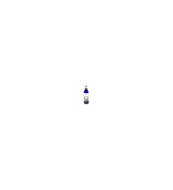 Hidrolato romero ecológico 200ml