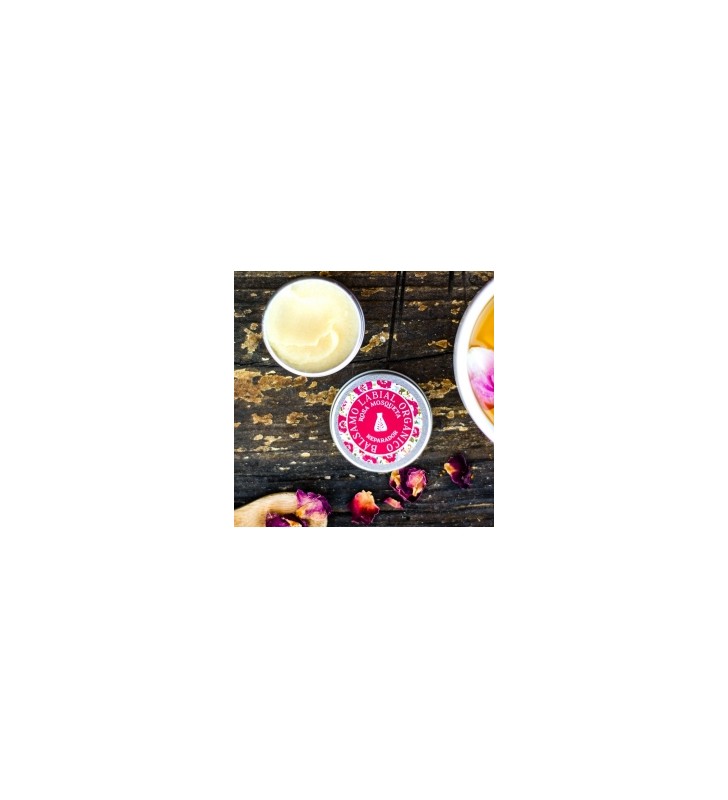 Bálsamo labial rosa mosqueta bio 5ml