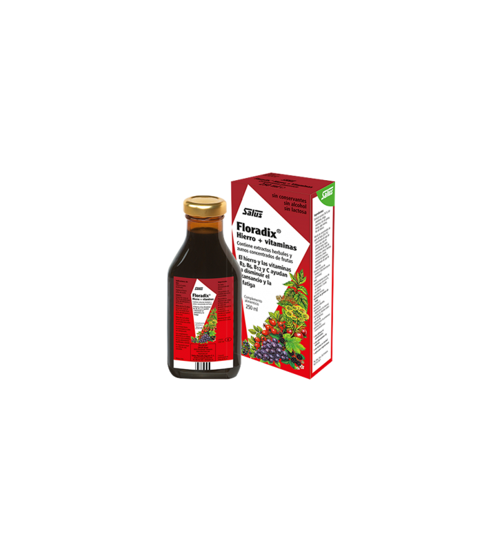 Floradix hierro - vitaminas 250ml
