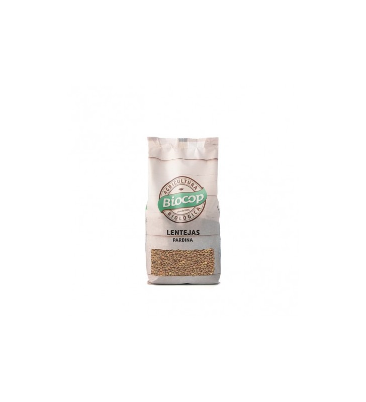 Lenteja pardina bio 500g