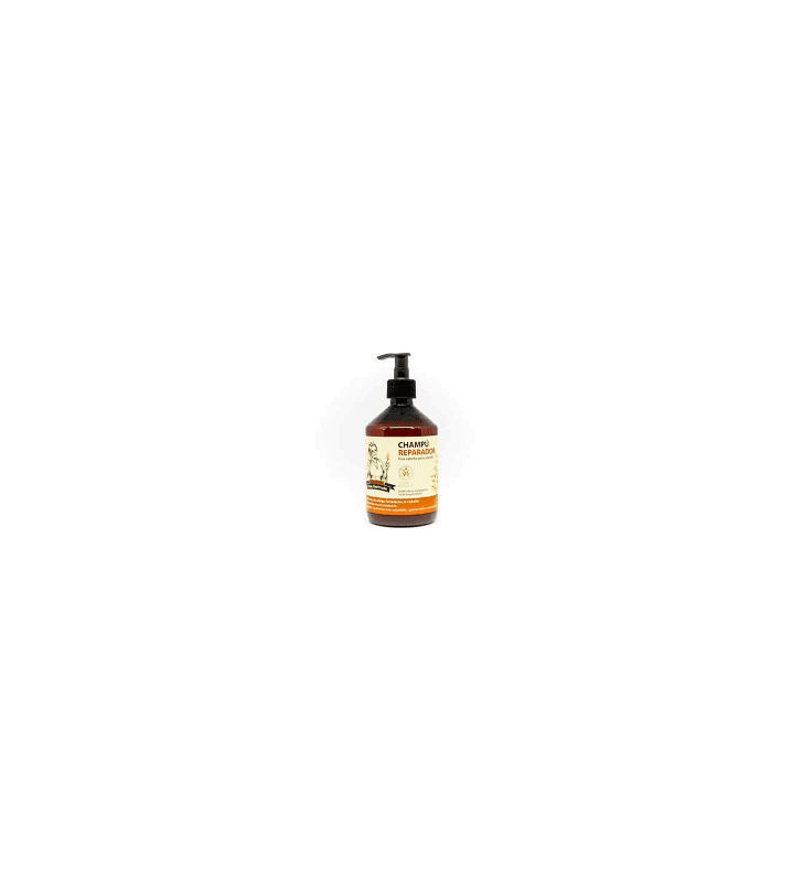Champú reparador 500ml