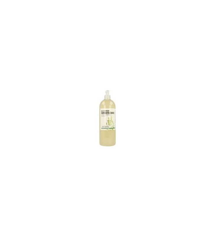 Gel de baño dermatológico 1lit