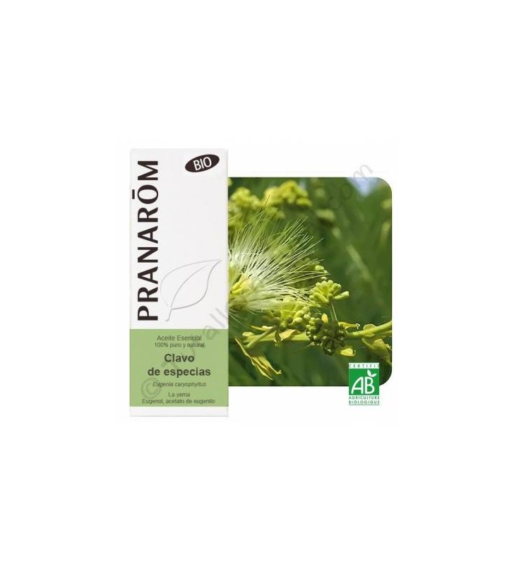Aceite esencial clavo especias Bio 10ml