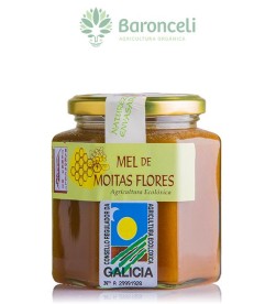 Miel de milflores bio 500gr